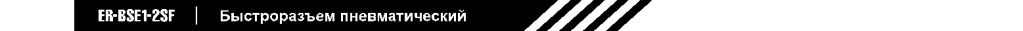 ER-BSE1-2SF.jpg